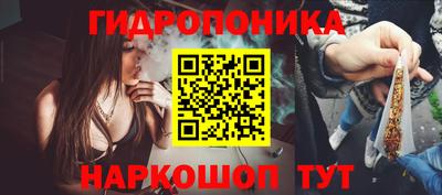 крисы Изобильный