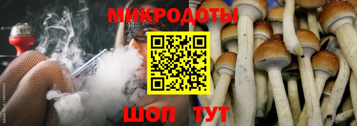 Псилоцибиновые грибы Cubensis Туймазы